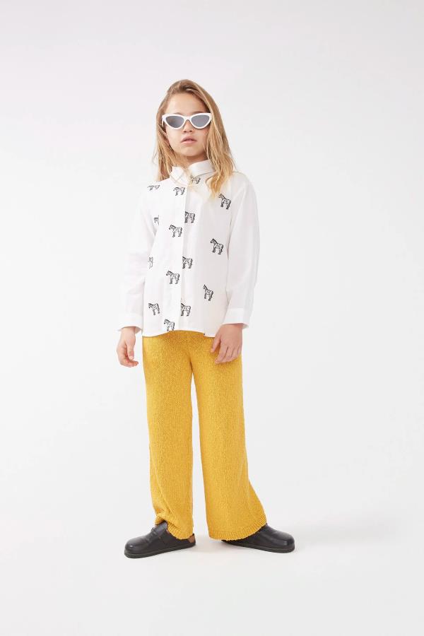 CAMISA M/L CEBRAS BORDADAS